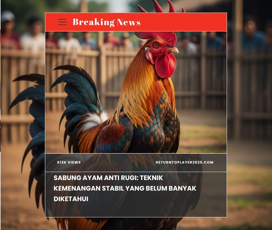 Sabung Ayam Anti Rugi: Teknik Kemenangan Stabil yang Belum Banyak Diketahui